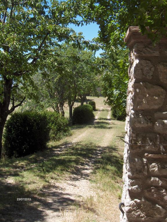 Agriturismo Il Palazzetto Apartment Campello sul Clitunno Exterior photo